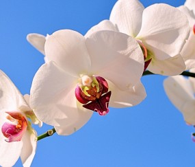 汉中正规助孕捐卵机构，附正规捐卵机构报名表！
